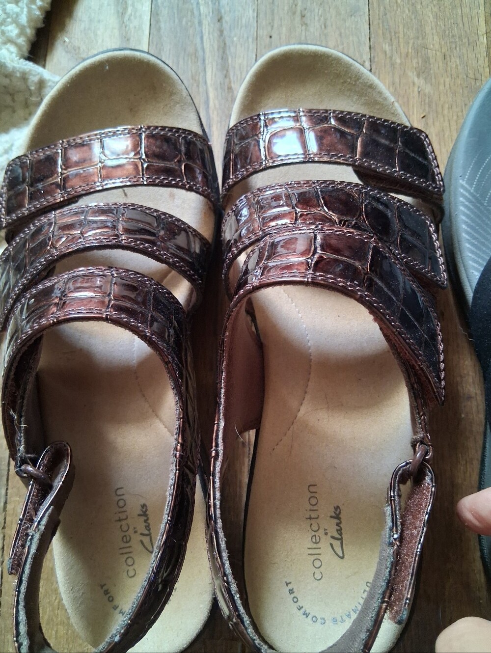 Clarks Women's Glossy Brown Croc-Embossed Adjustable Sandals